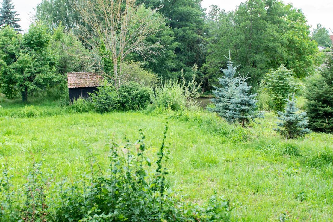 Ferienwohnung Auf Ehemaligen Bauernhof In Der Naehe Von Bamberg Walsdorf  Esterno foto